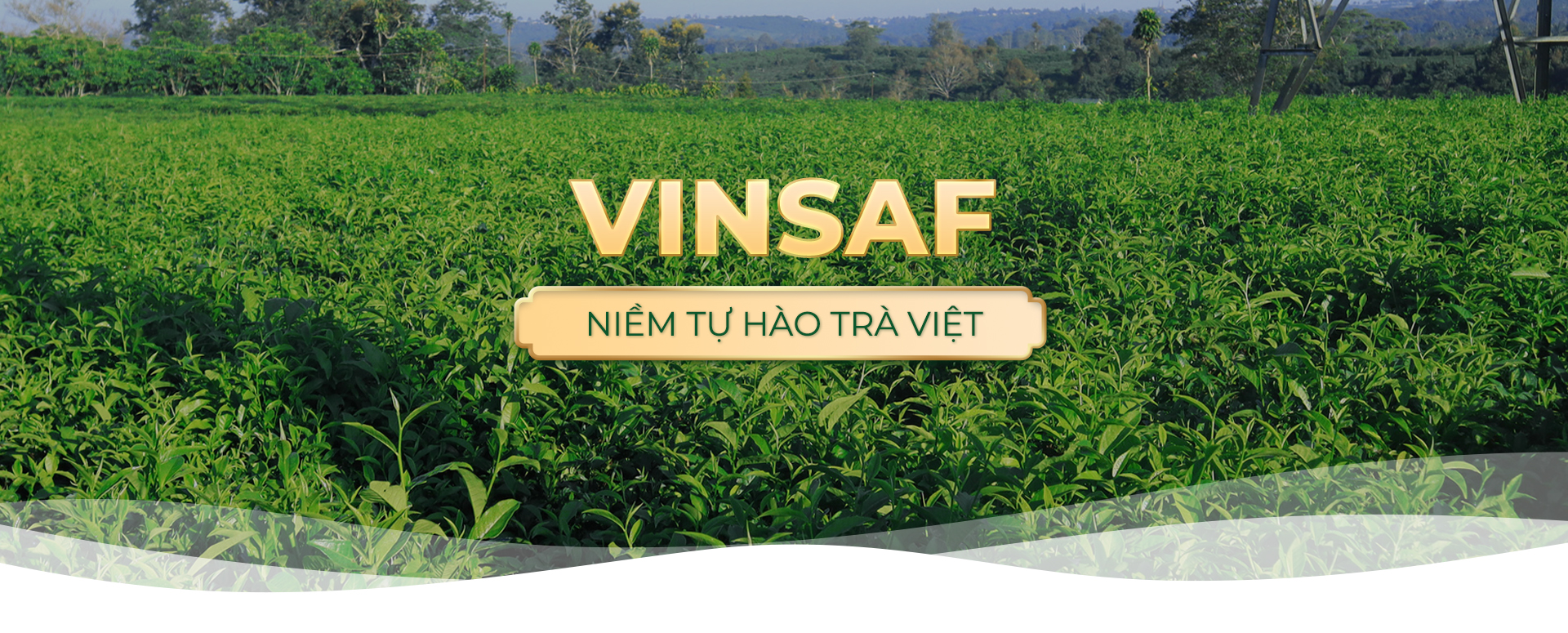Công Ty TNHH Chè Bắc Thái Nam